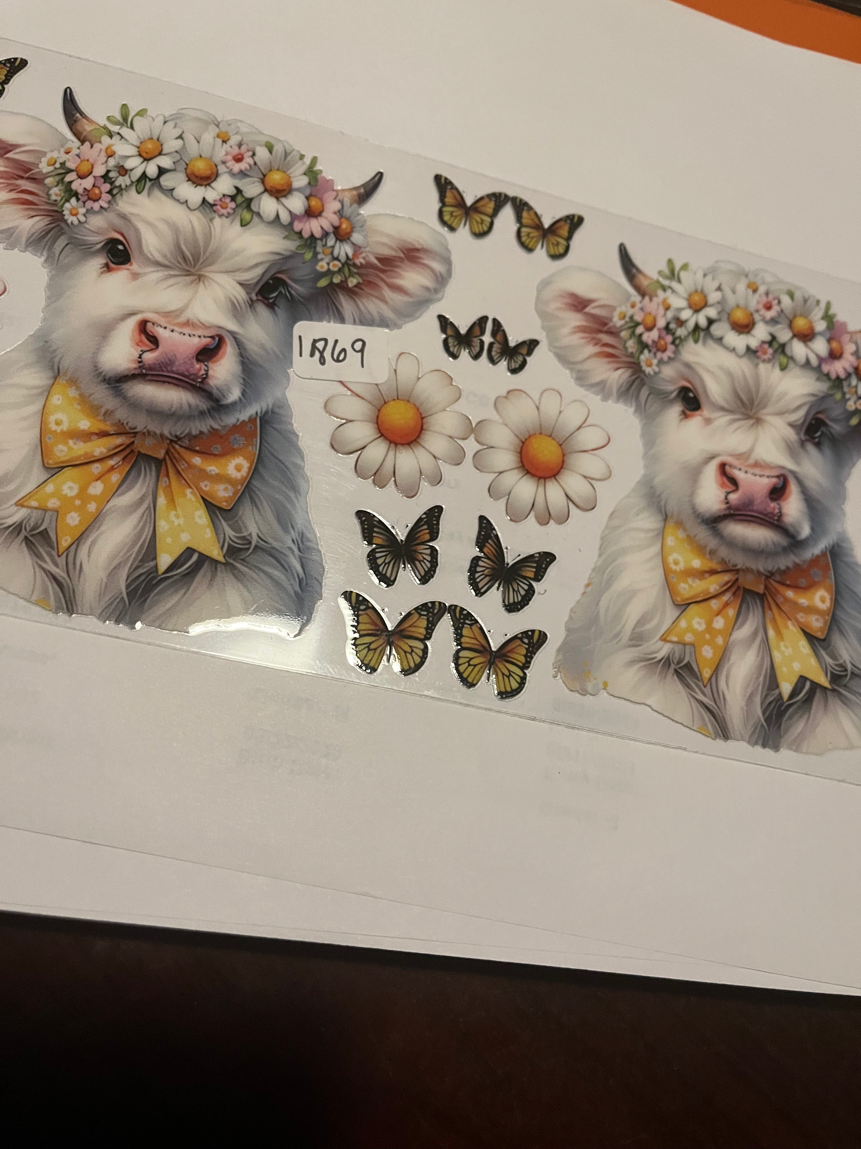 White cow daisies 1869