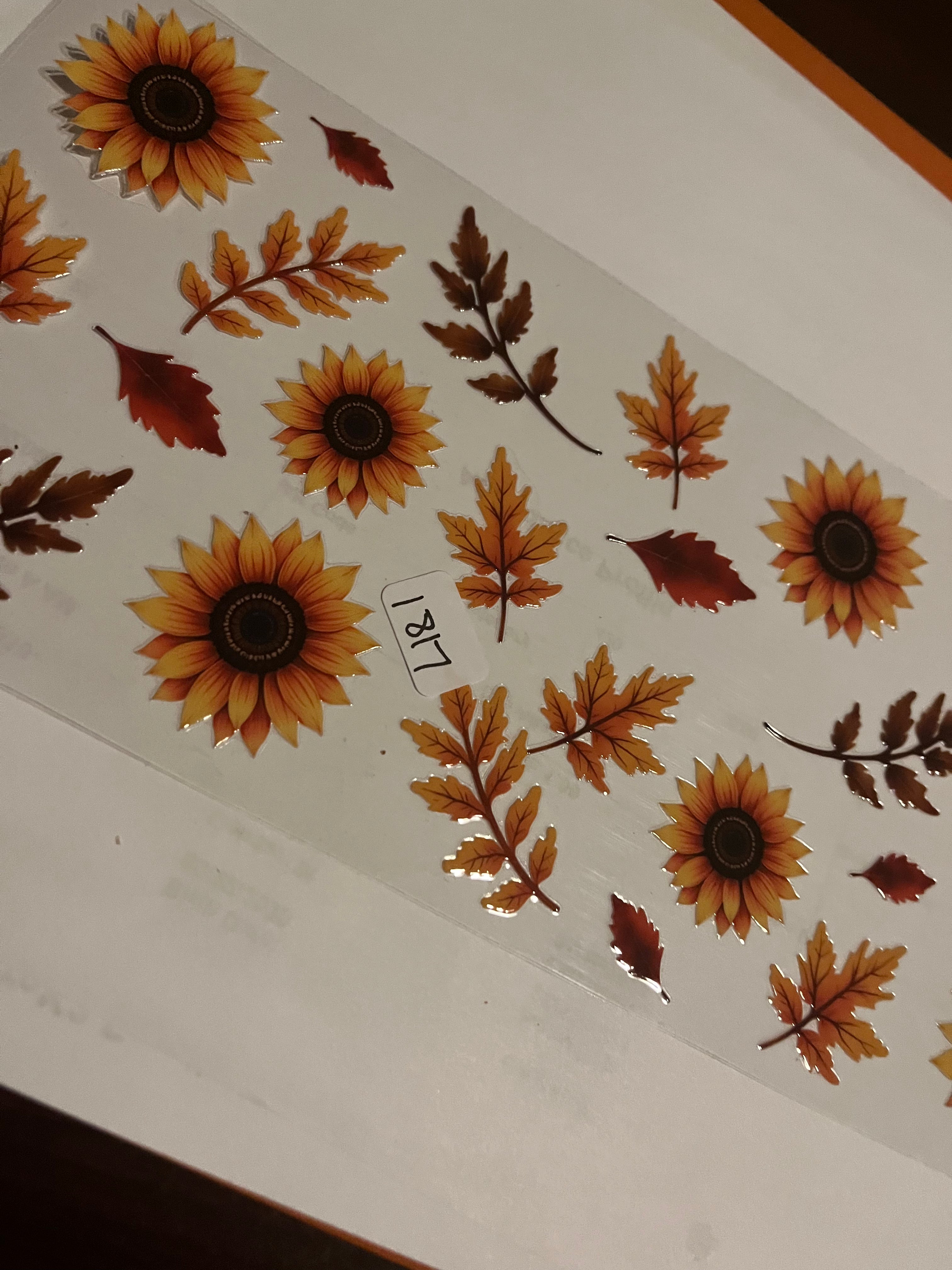 Sunflower autumn 1817
