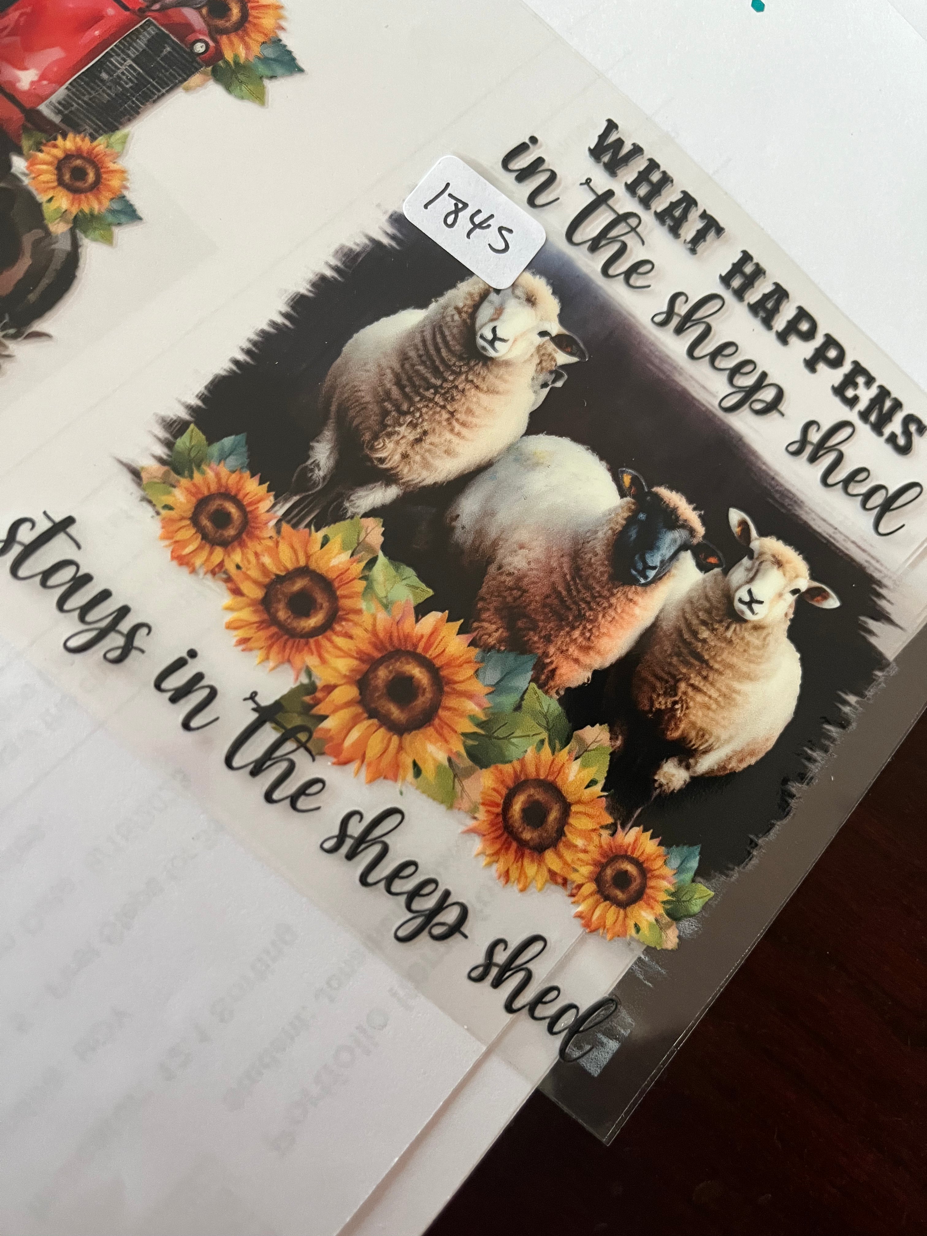 What happens sheep 1845